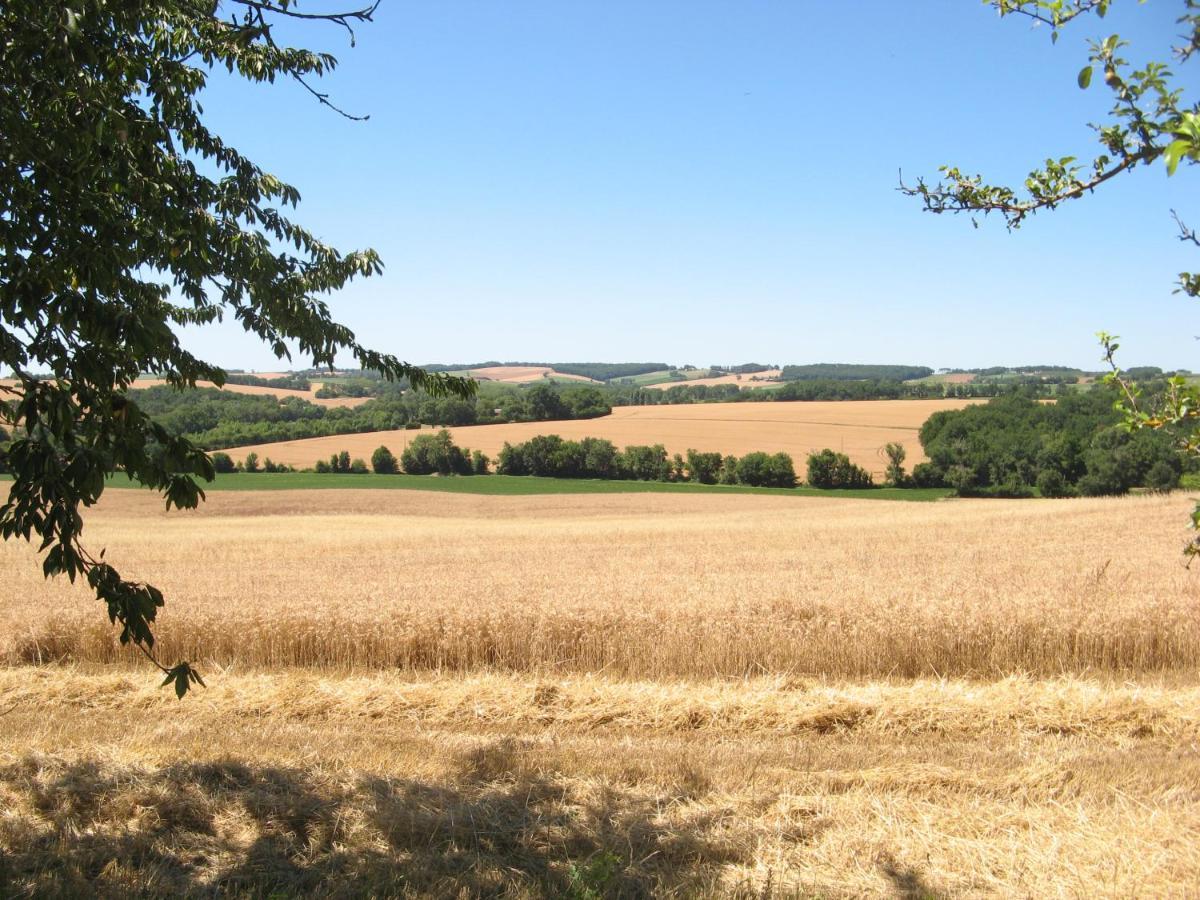 Le Petit Bergeret En Gascogne Villa Saint-Puy Exteriör bild