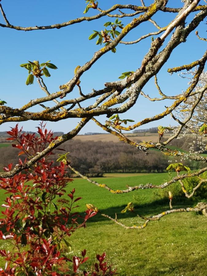 Le Petit Bergeret En Gascogne Villa Saint-Puy Exteriör bild